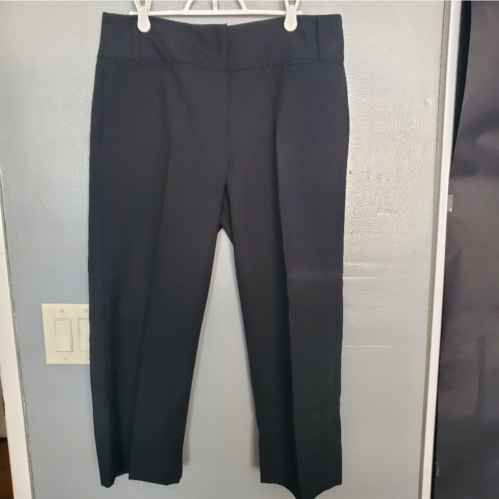 Rafaella limited edition dress pants size 10.